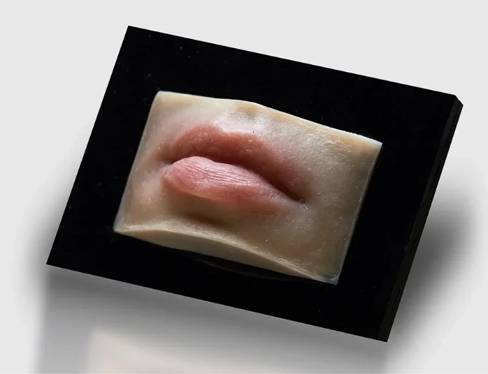 Realistic lip simulator used for hands-on aesthetic medicine training